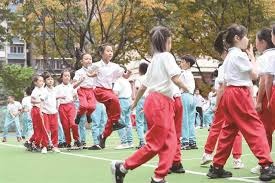 2019 特劳特巅峰：麦克·特劳特夺得生涯第三座 MVP，稳坐当时大联盟第一人